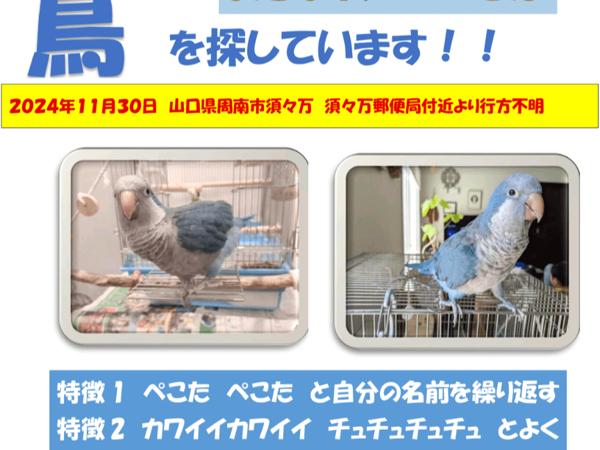 ぺこたちゃん ぺこたちゃん
