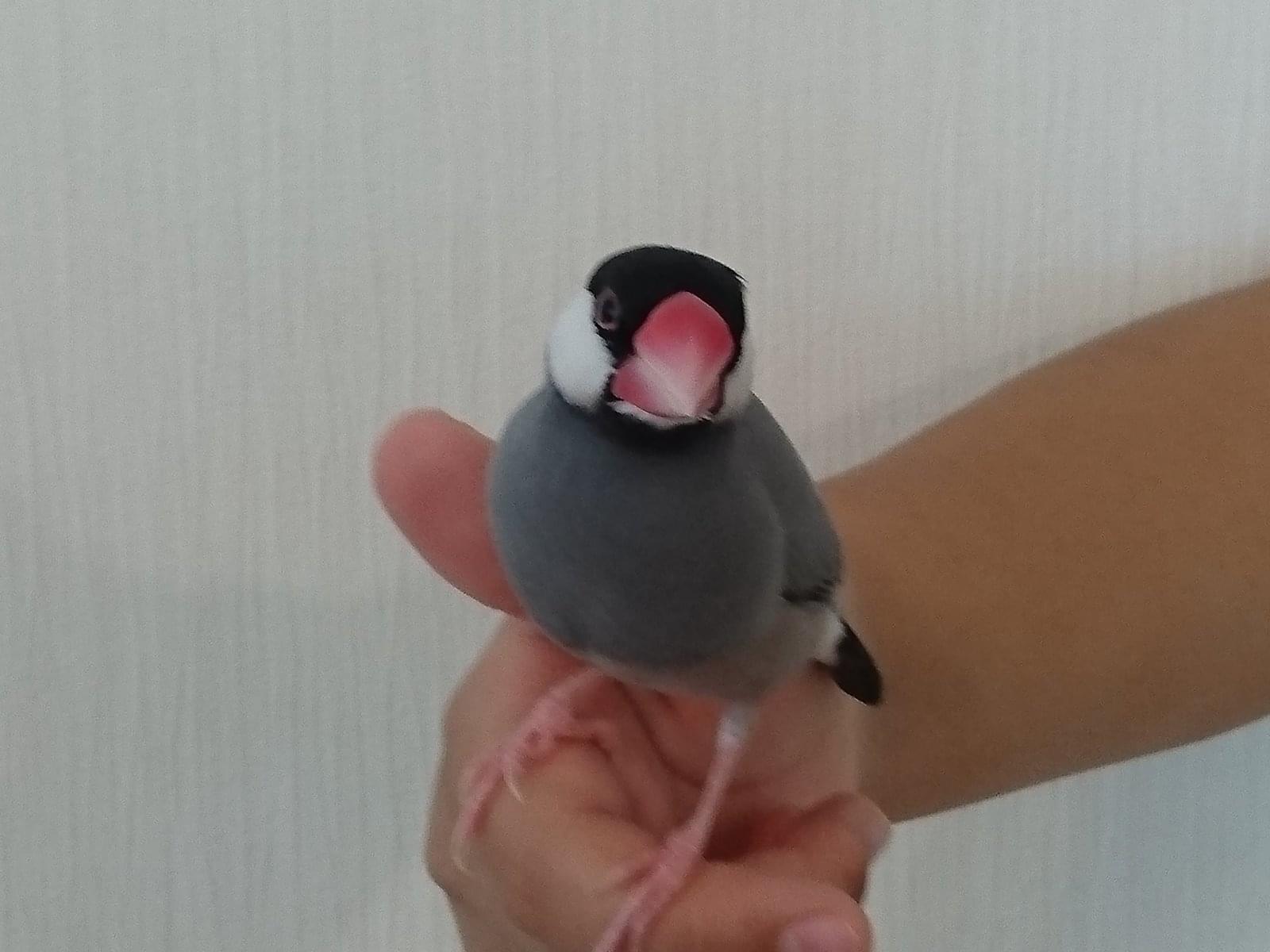 ゆうちゃん ゆうちゃん