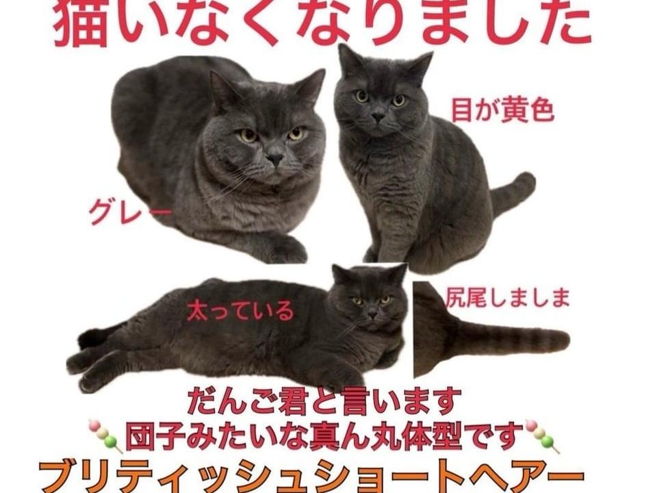 だんごちゃん だんごちゃん