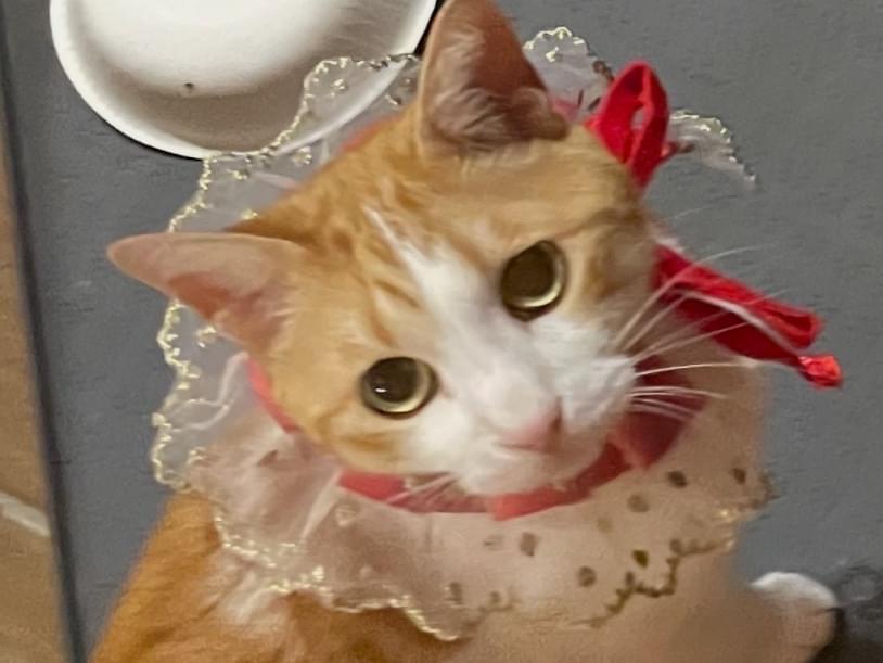 たまちゃん たまちゃん