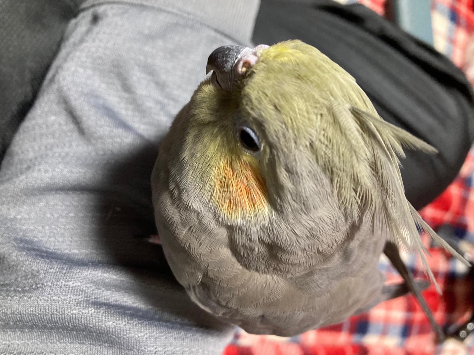 ナミちゃん ナミちゃん