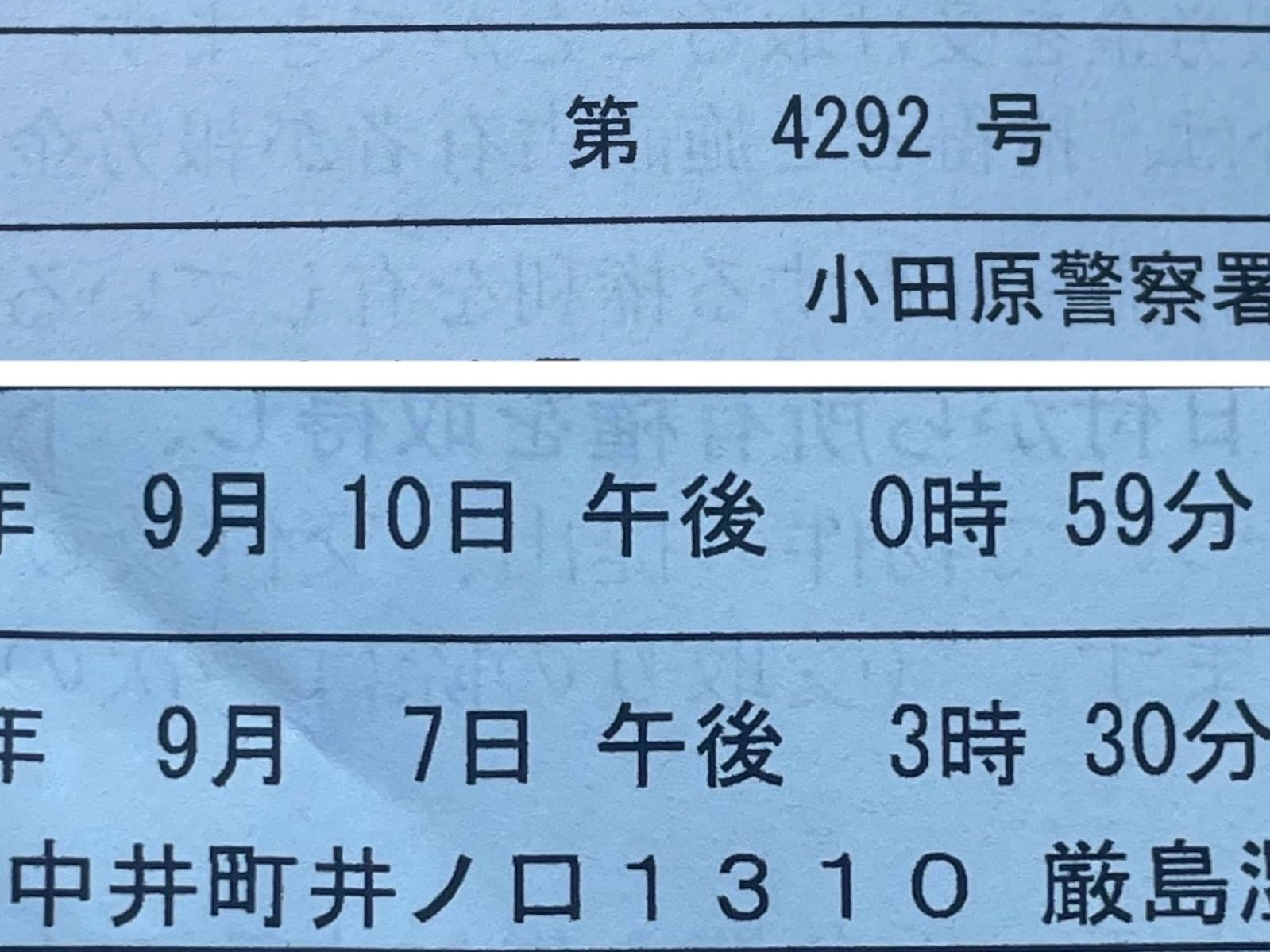 保護された鳥 保護された鳥