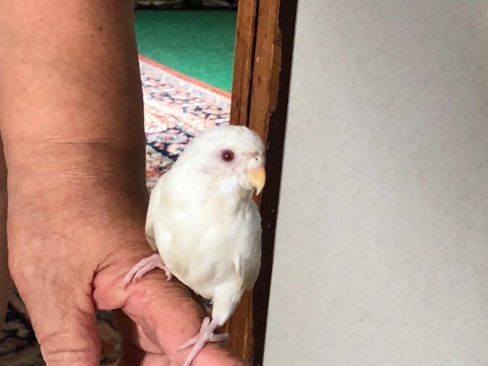 春ちゃん 春ちゃん