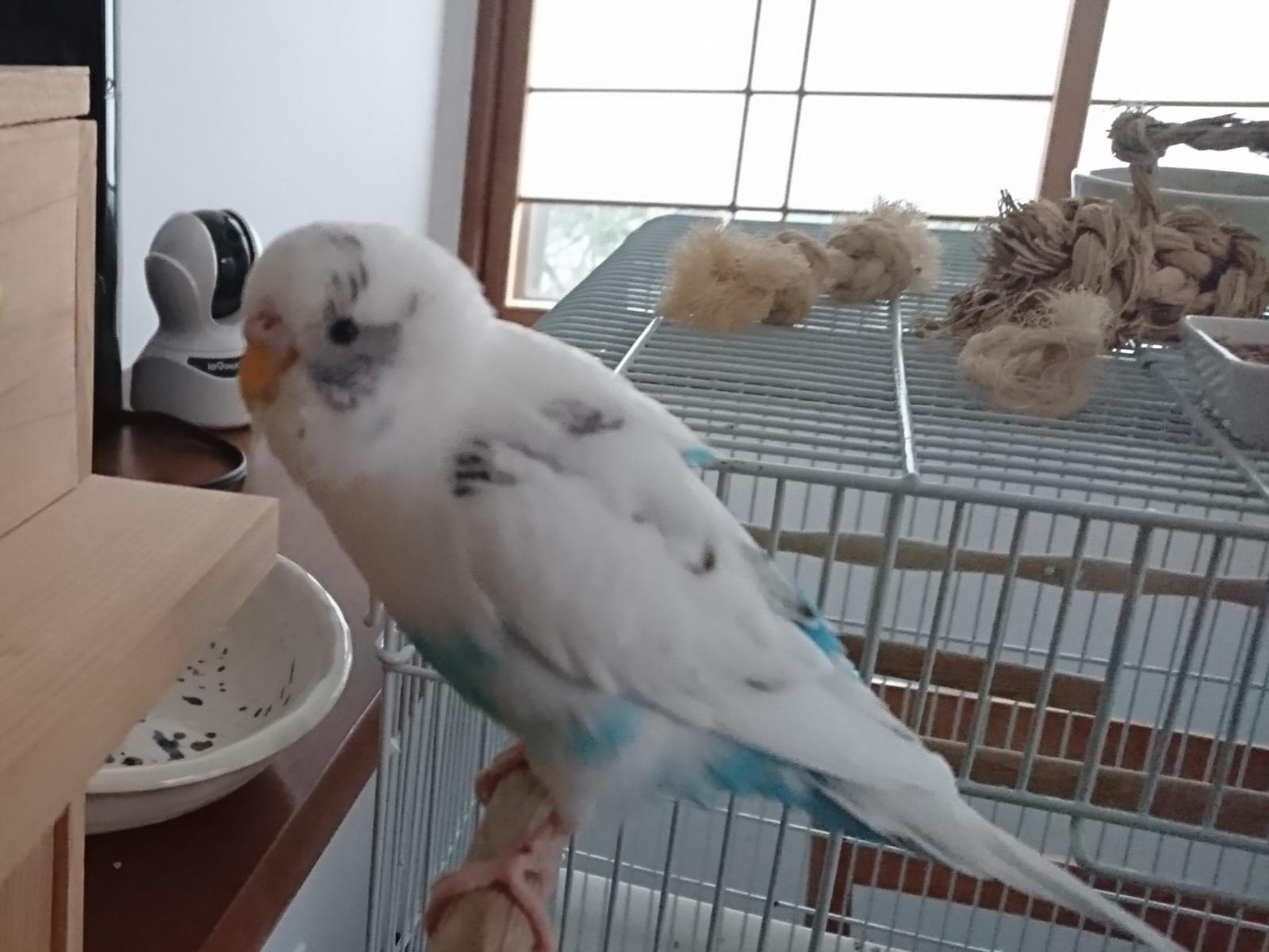 みるくちゃん みるくちゃん