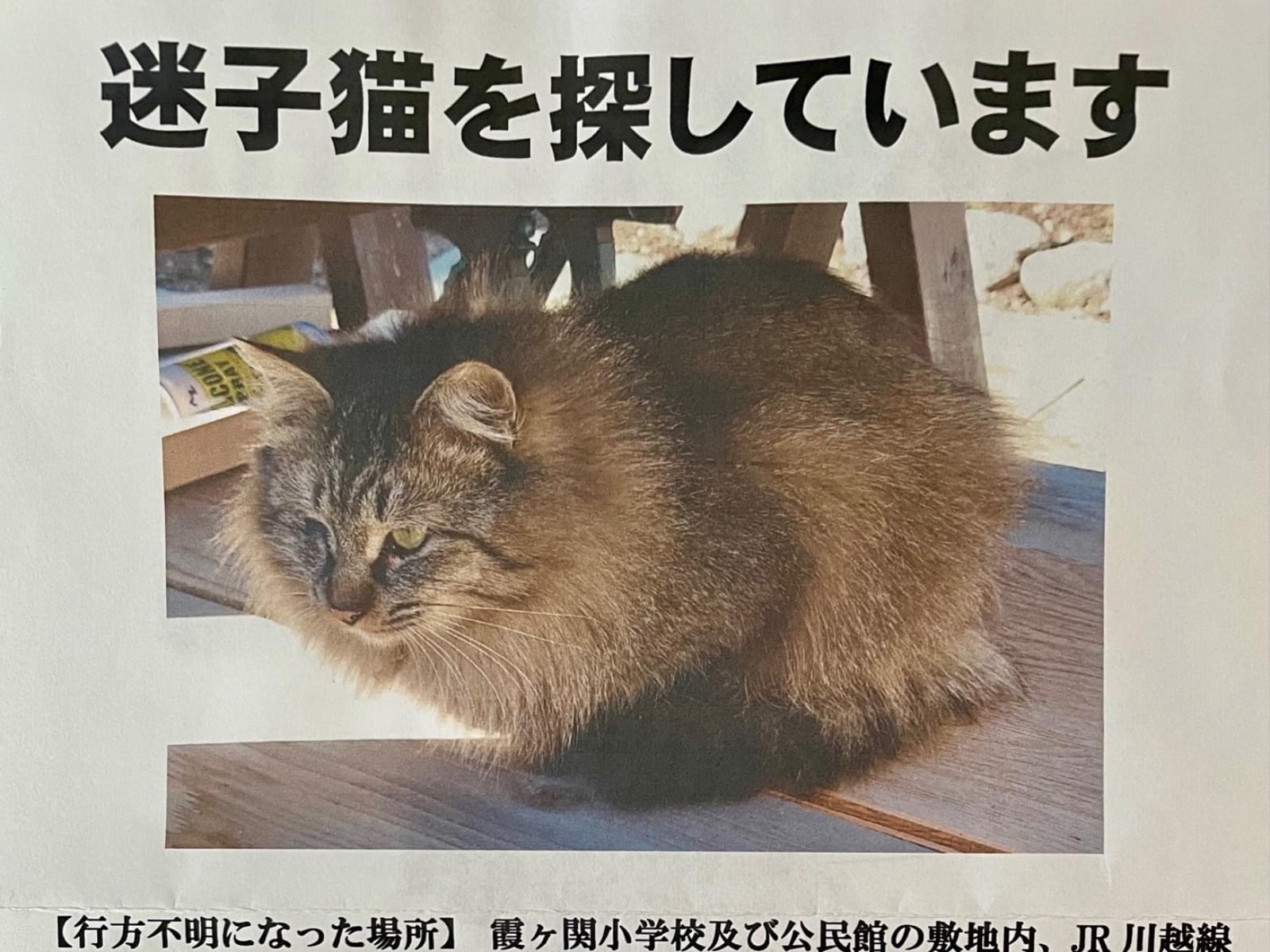 チビクロちゃん チビクロちゃん