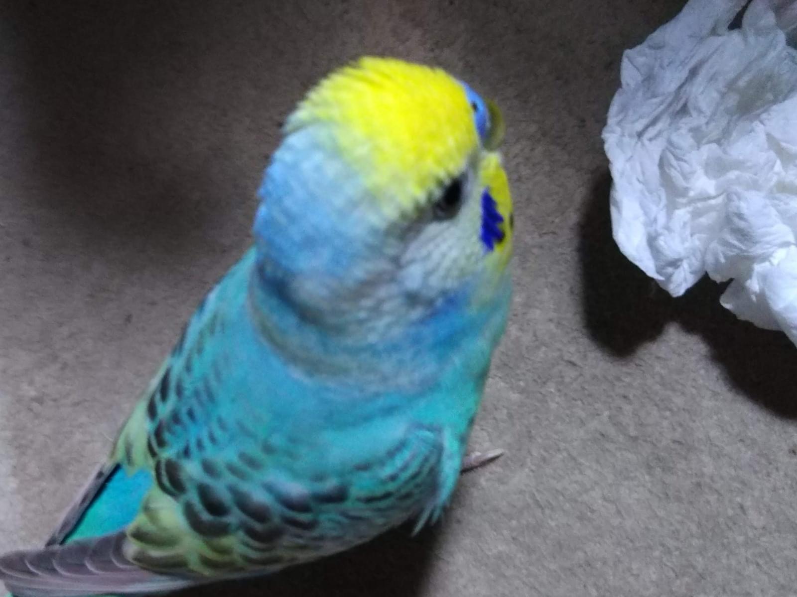 クーちゃん クーちゃん