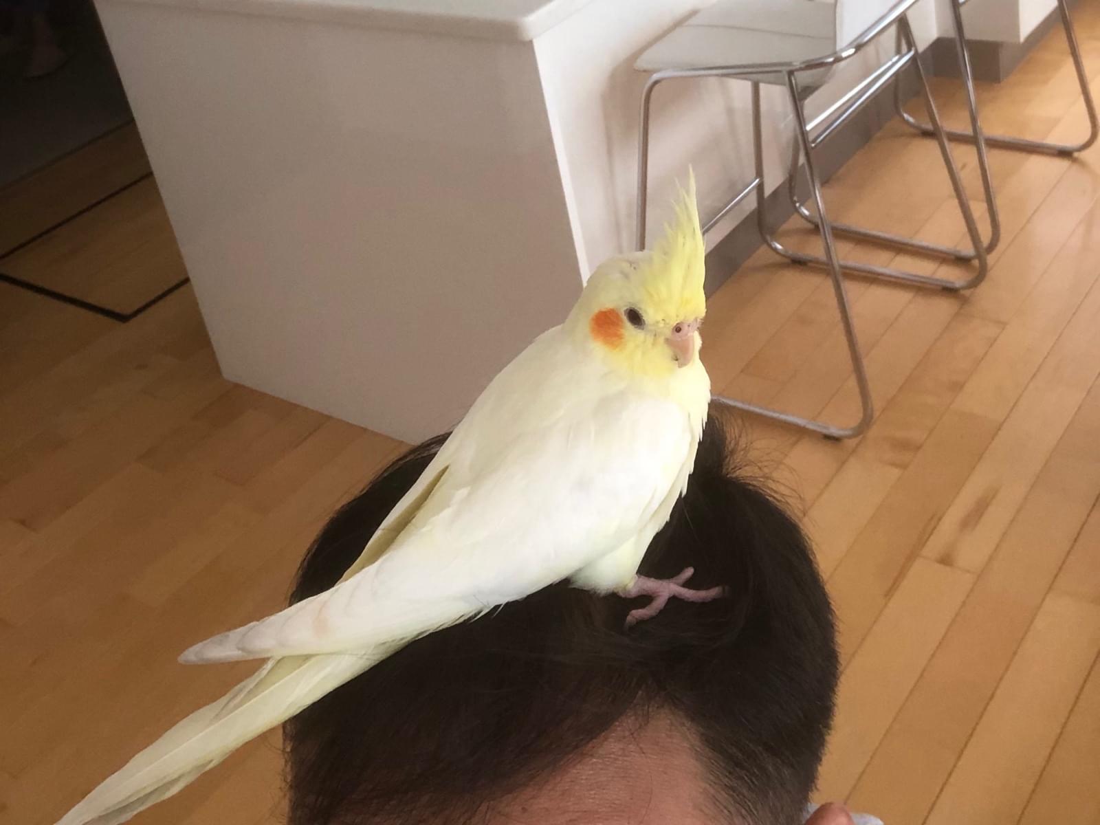 イトウちゃん イトウちゃん