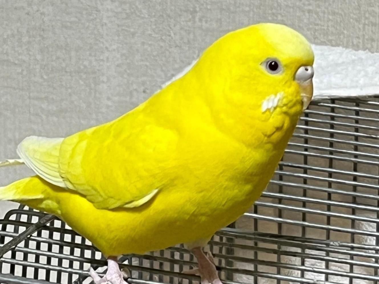 みなもちゃん みなもちゃん