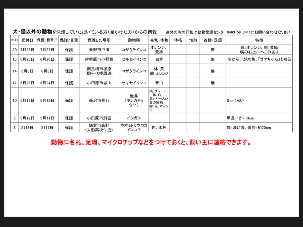 保護された鳥 保護された鳥