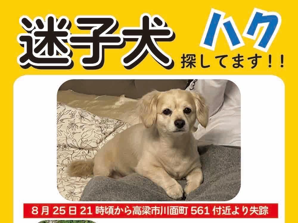 ハクちゃん ハクちゃん