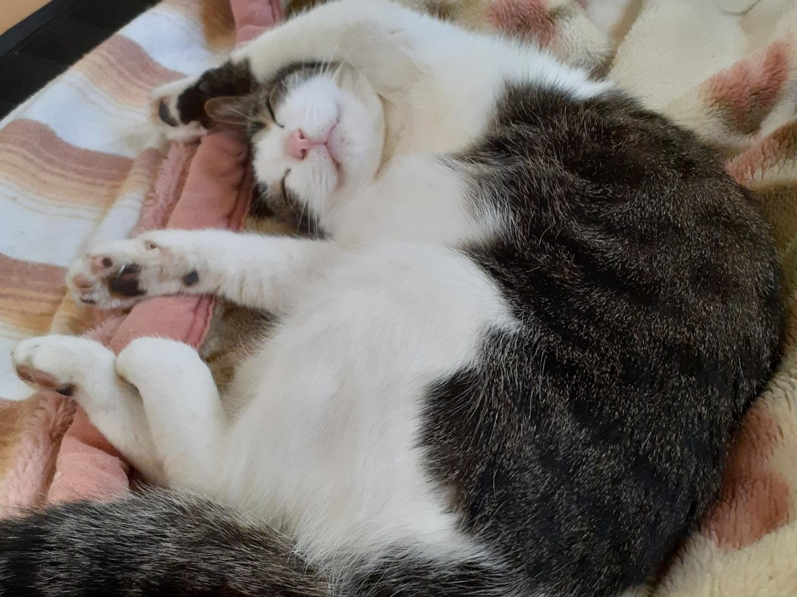 るるちゃん るるちゃん