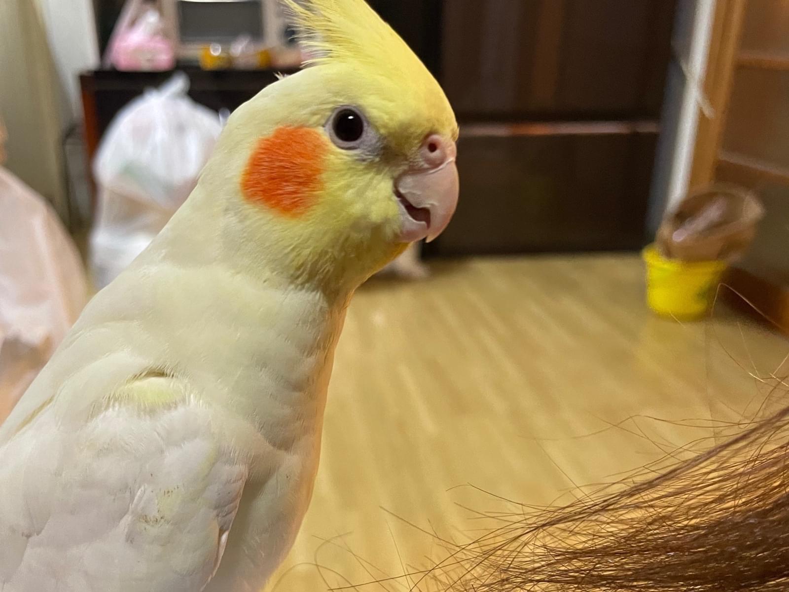 むーちゃん むーちゃん