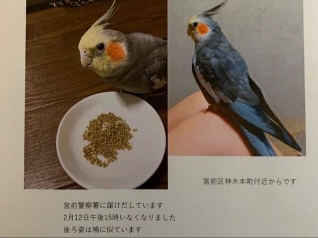 うにちゃん うにちゃん