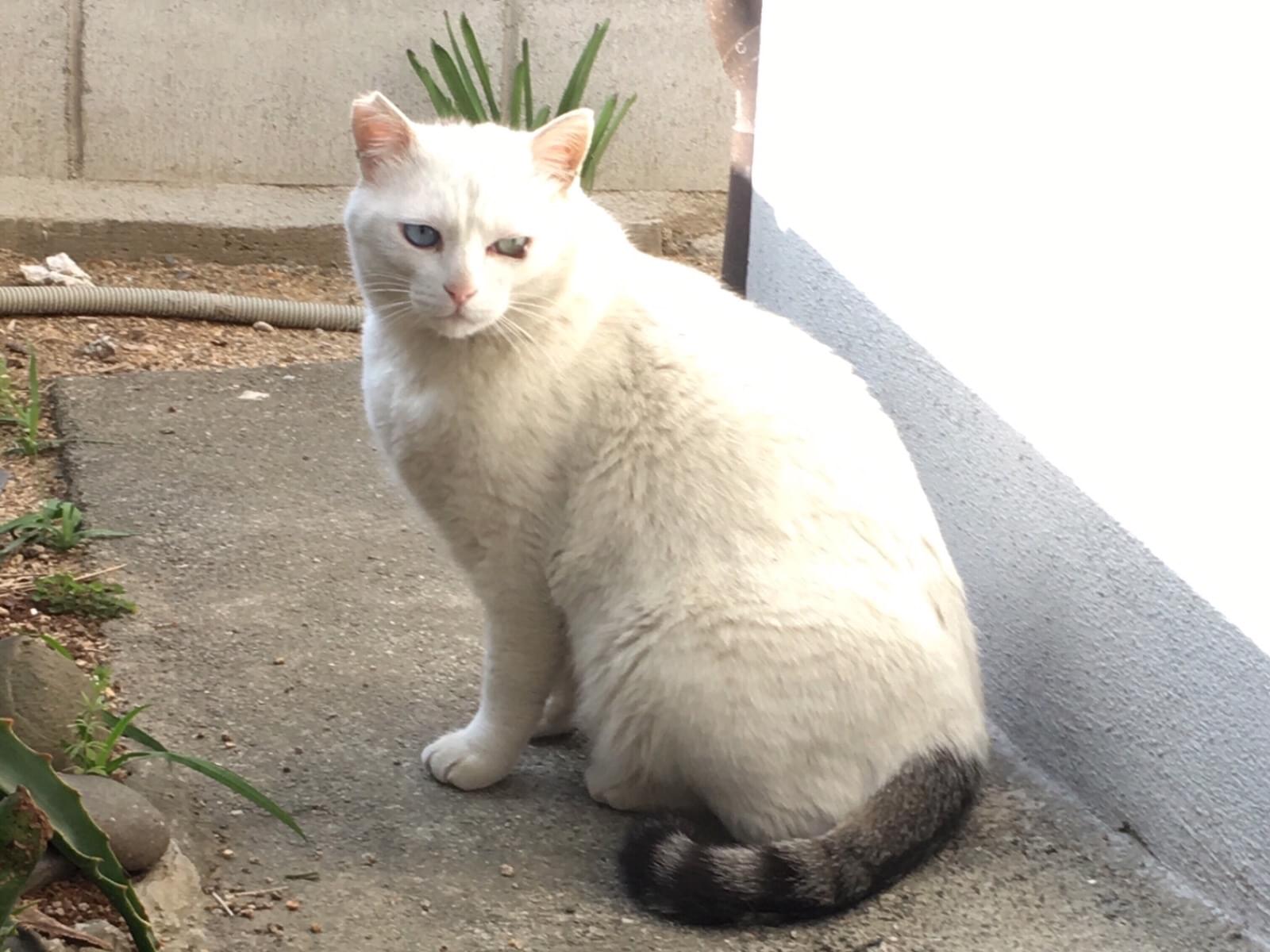 ひめちゃん ひめちゃん