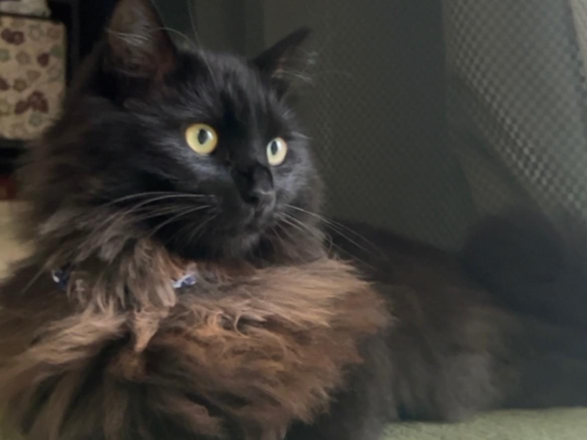 くーちゃん くーちゃん