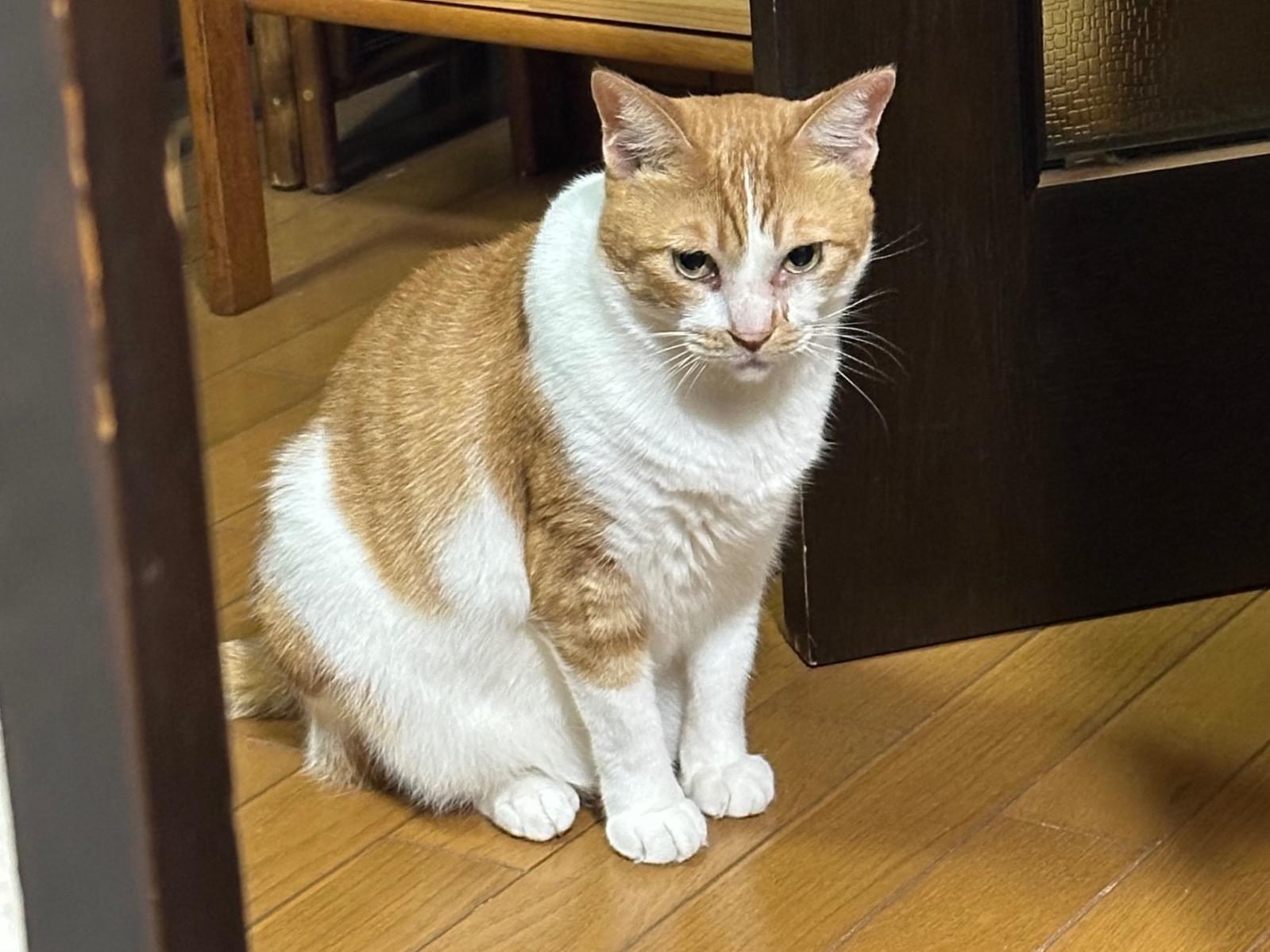ちびちゃん ちびちゃん