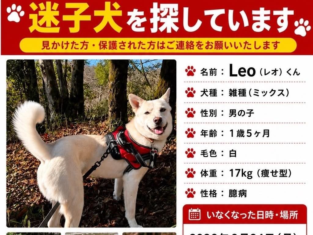 レオちゃん レオちゃん