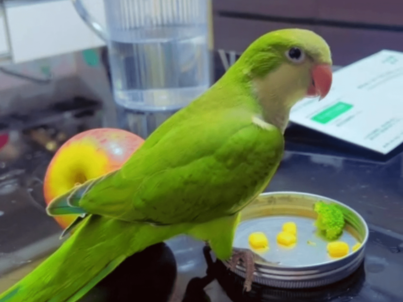 オギちゃんちゃん