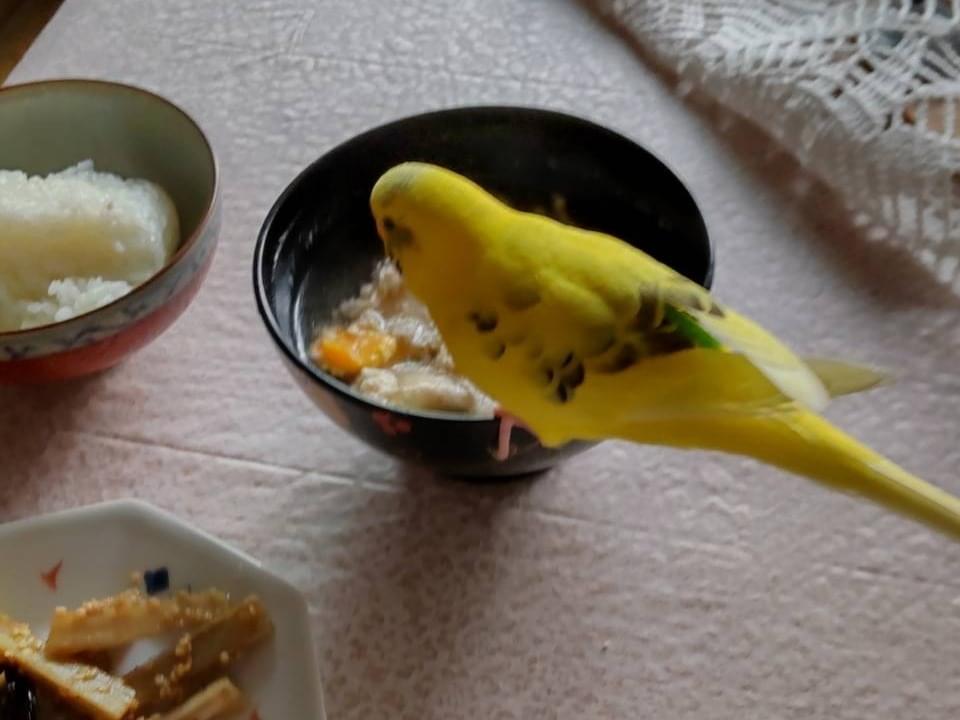 しづかちゃん しづかちゃん