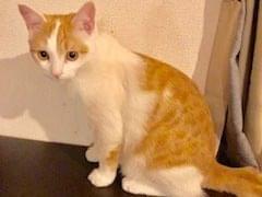 チャタロウちゃん チャタロウちゃん
