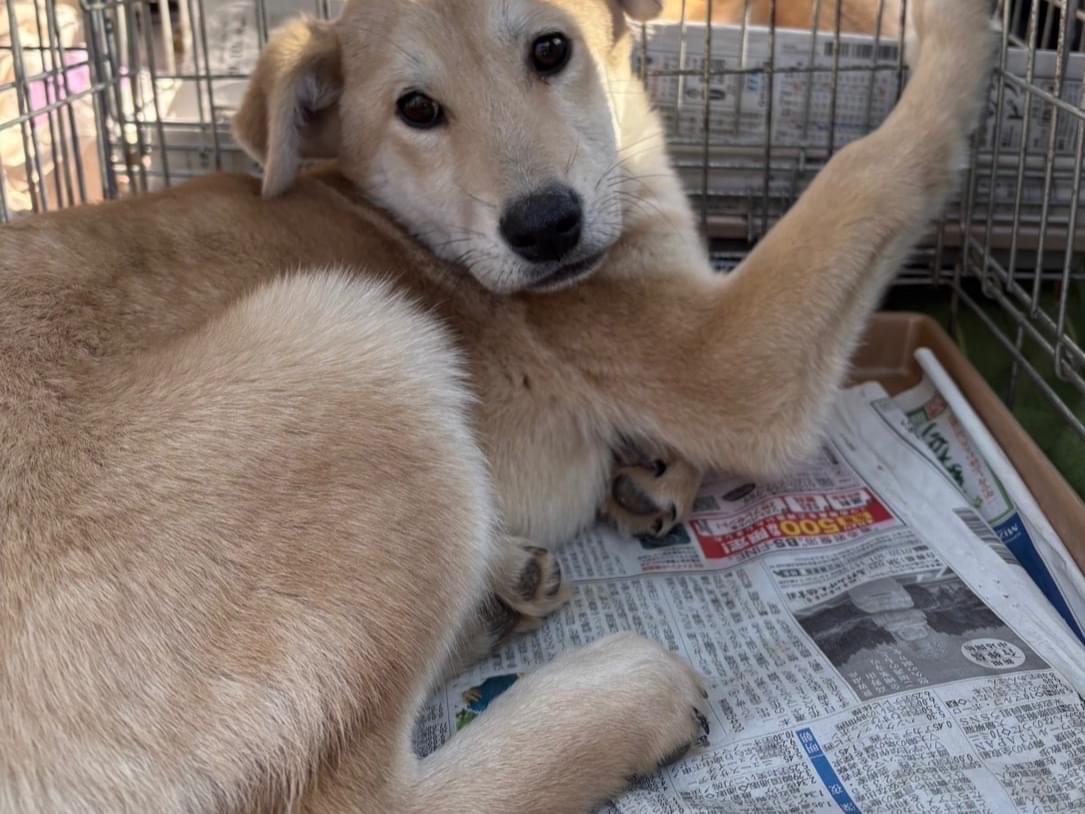 クチクロちゃん クチクロちゃん