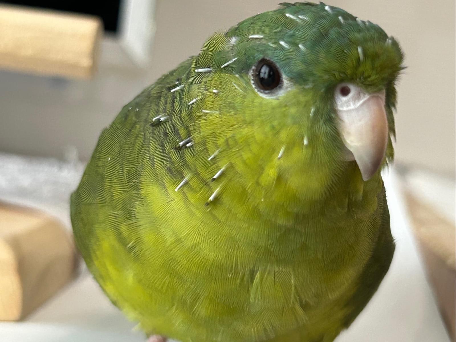 ららちゃん ららちゃん