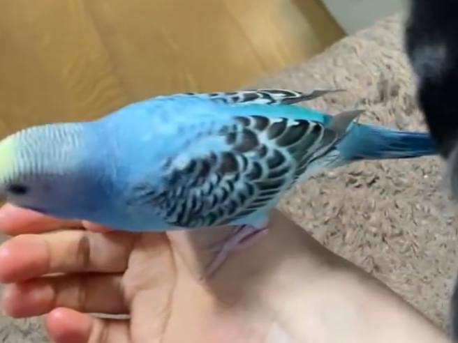 るいちゃん るいちゃん