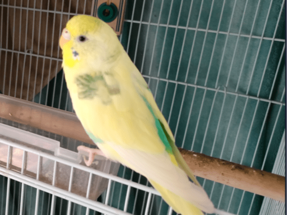 ハルちゃん ハルちゃん