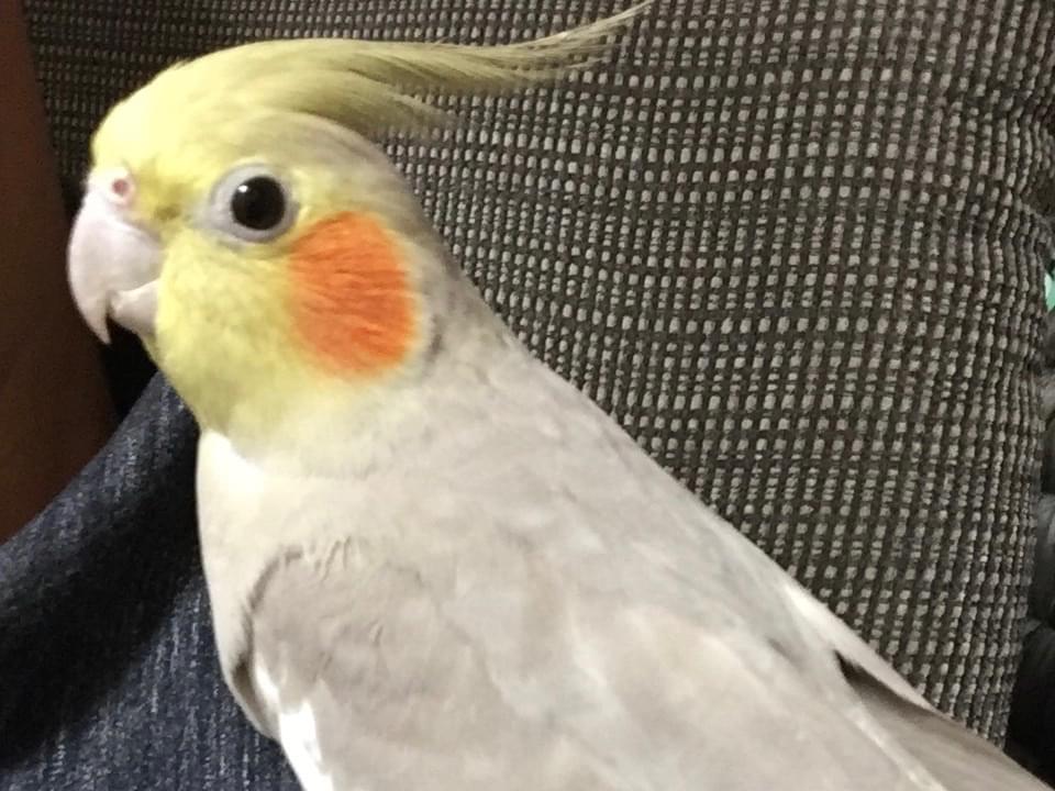 しーちゃん しーちゃん