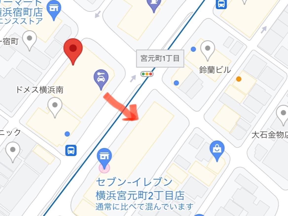目撃された犬 目撃された犬