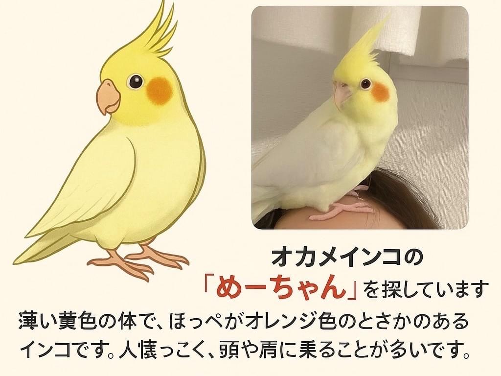 めーちゃん めーちゃん