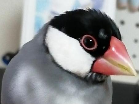 ふみちゃん ふみちゃん