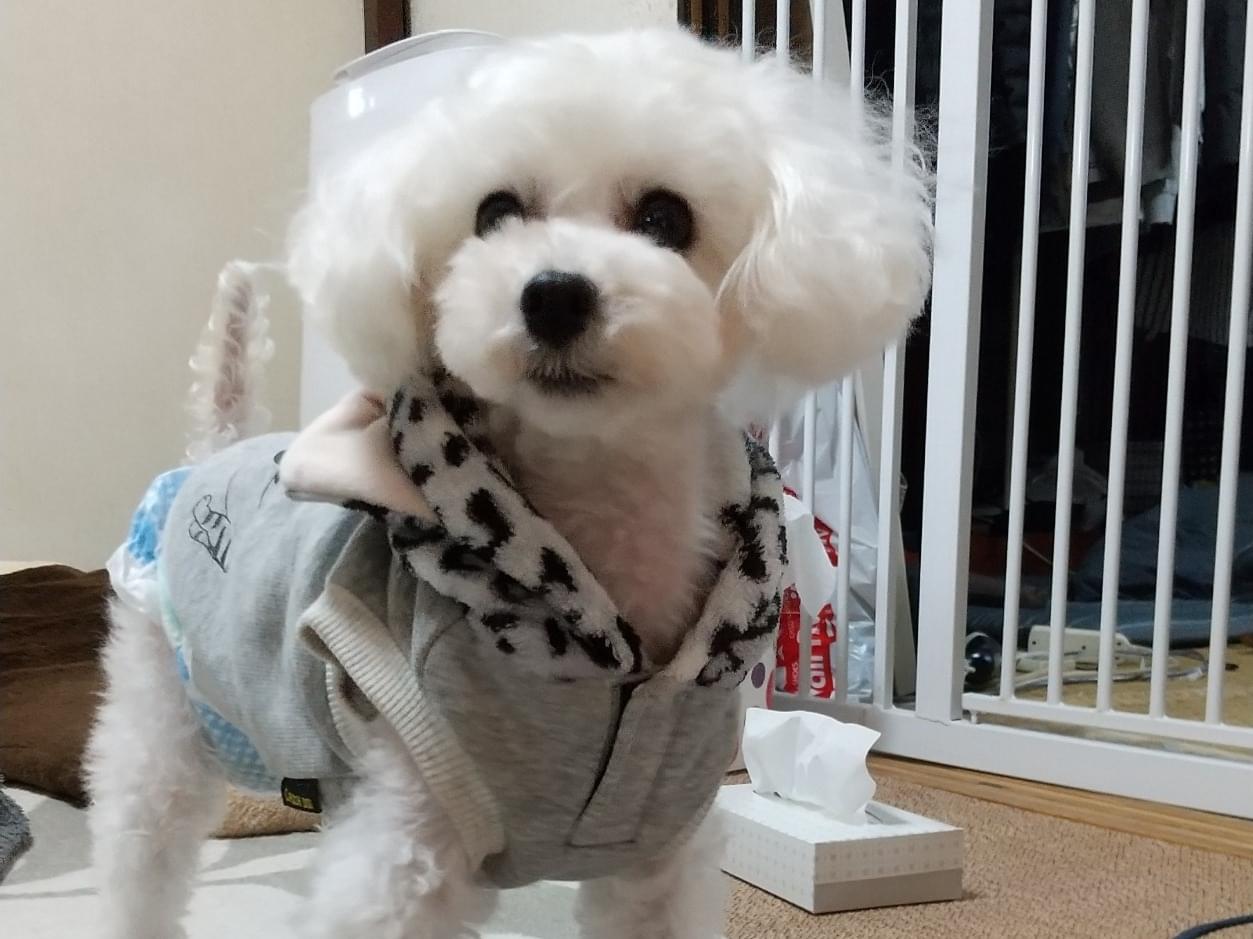 ユーリちゃん ユーリちゃん