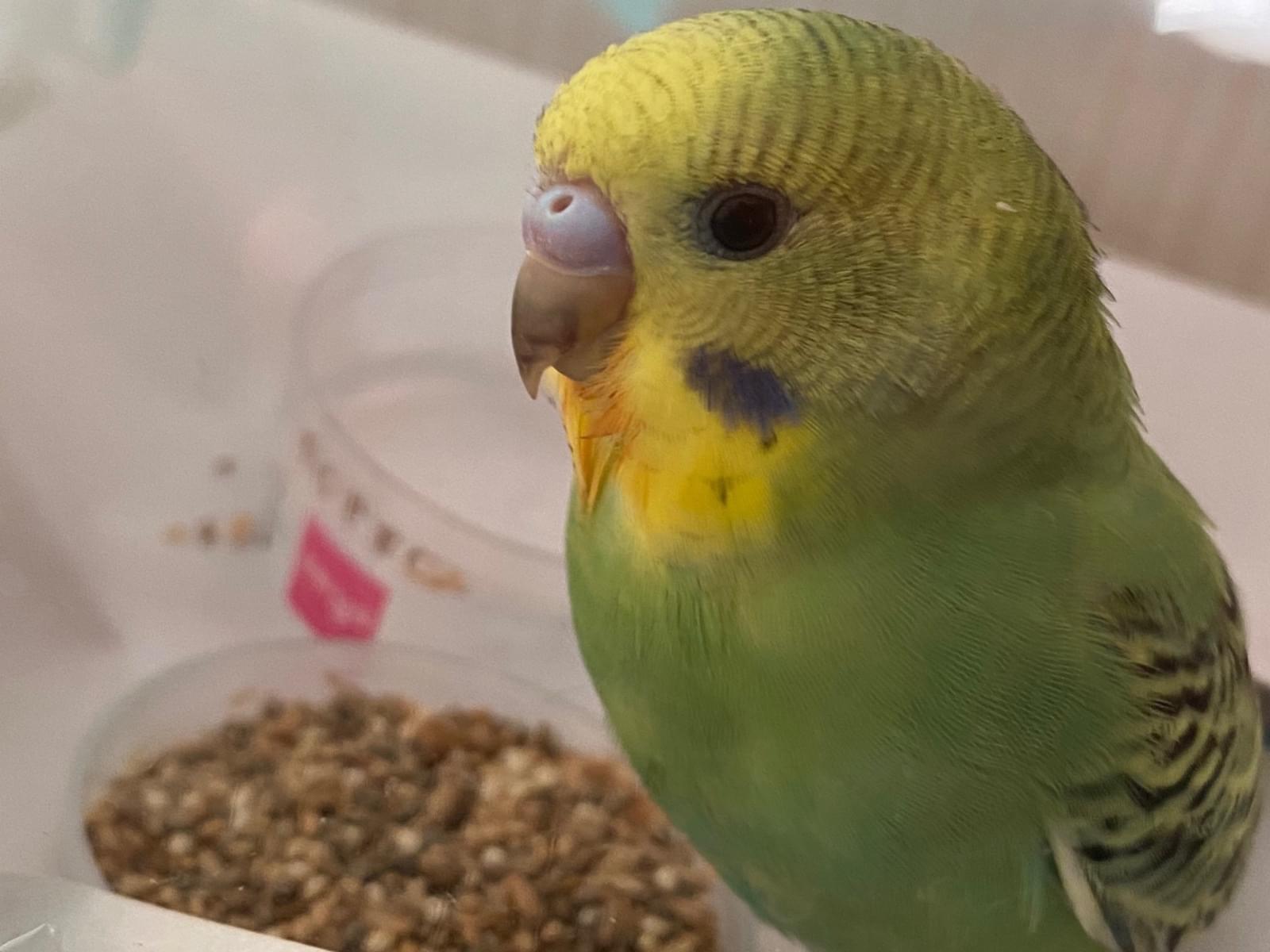 ちるちゃん ちるちゃん