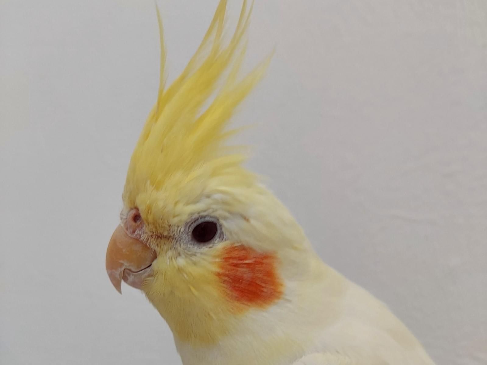 なっちゃん なっちゃん