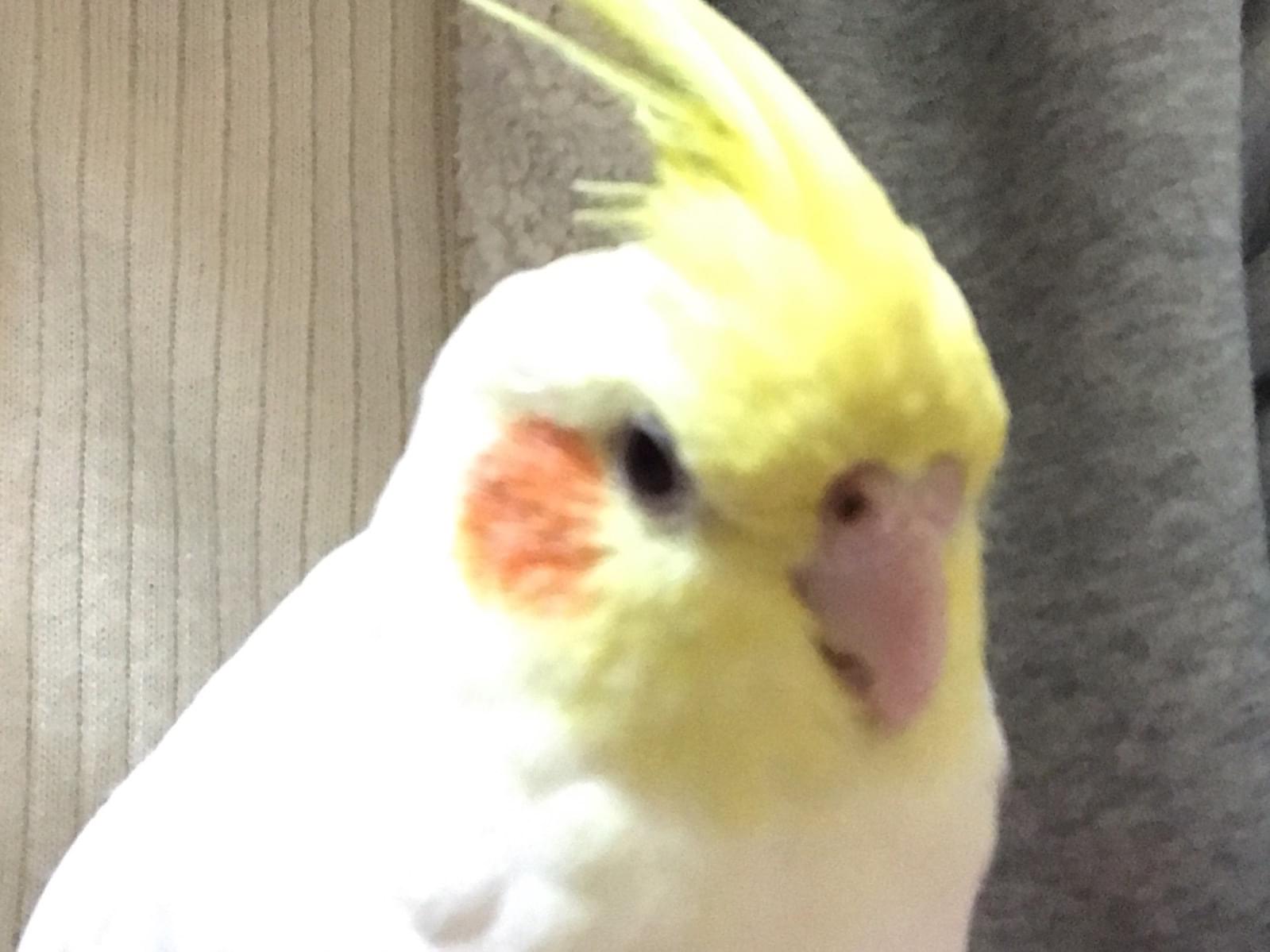 らみちゃん らみちゃん