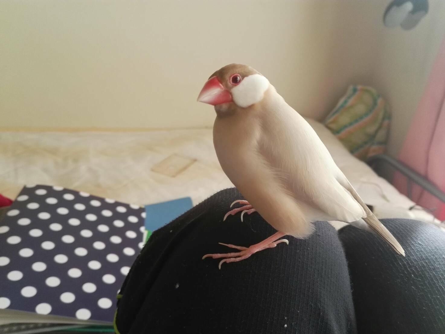 まりんちゃん まりんちゃん