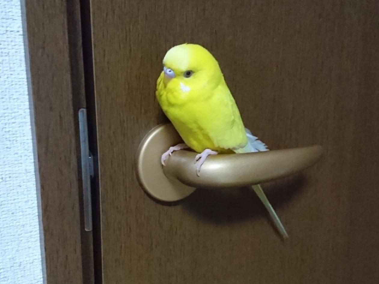 はじめちゃん はじめちゃん