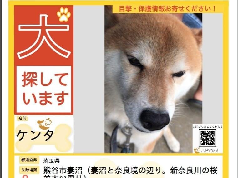 ケンタちゃん ケンタちゃん