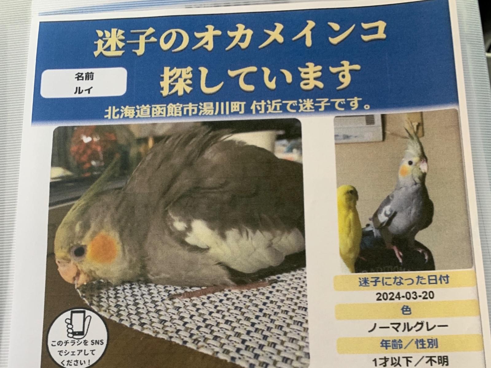 ルイちゃん ルイちゃん
