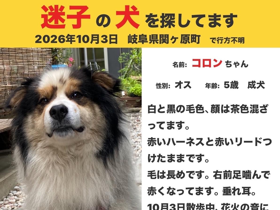 コロンちゃん