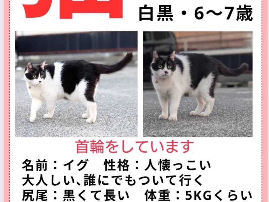 イグちゃん