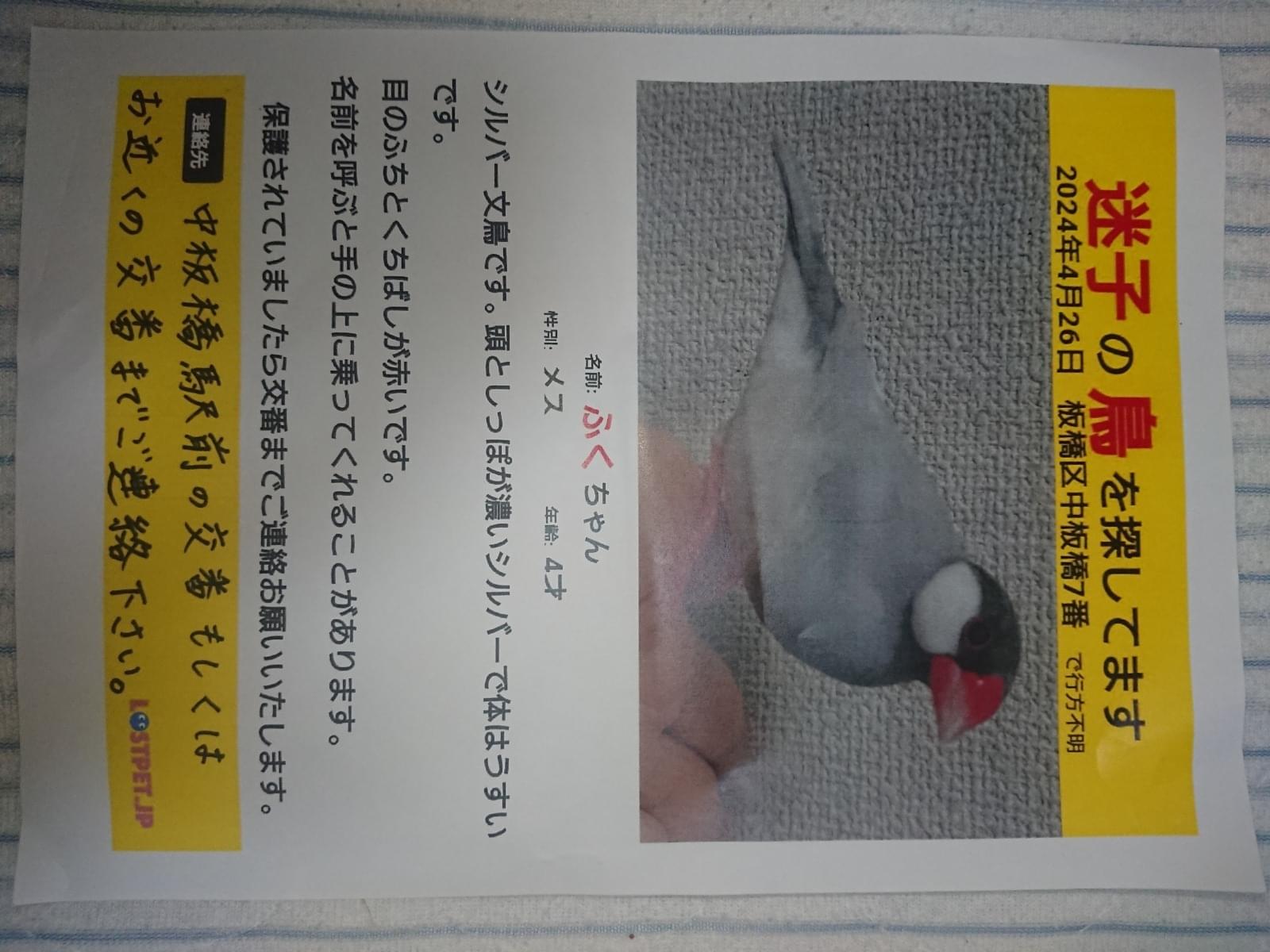 ふくちゃん ふくちゃん