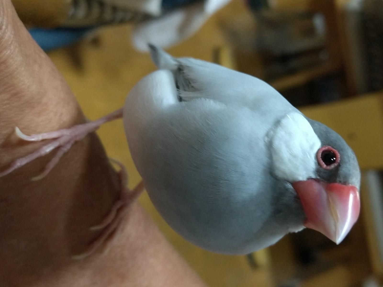 ソラちゃん ソラちゃん