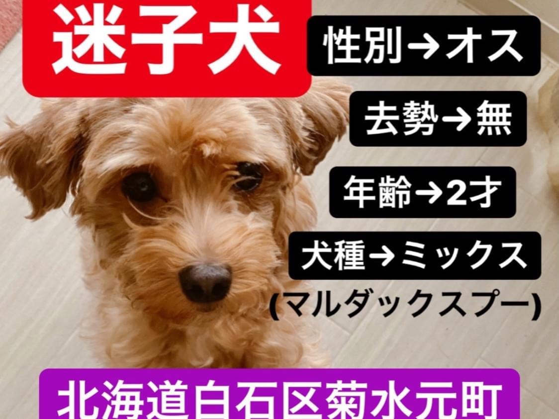 せいじちゃん せいじちゃん