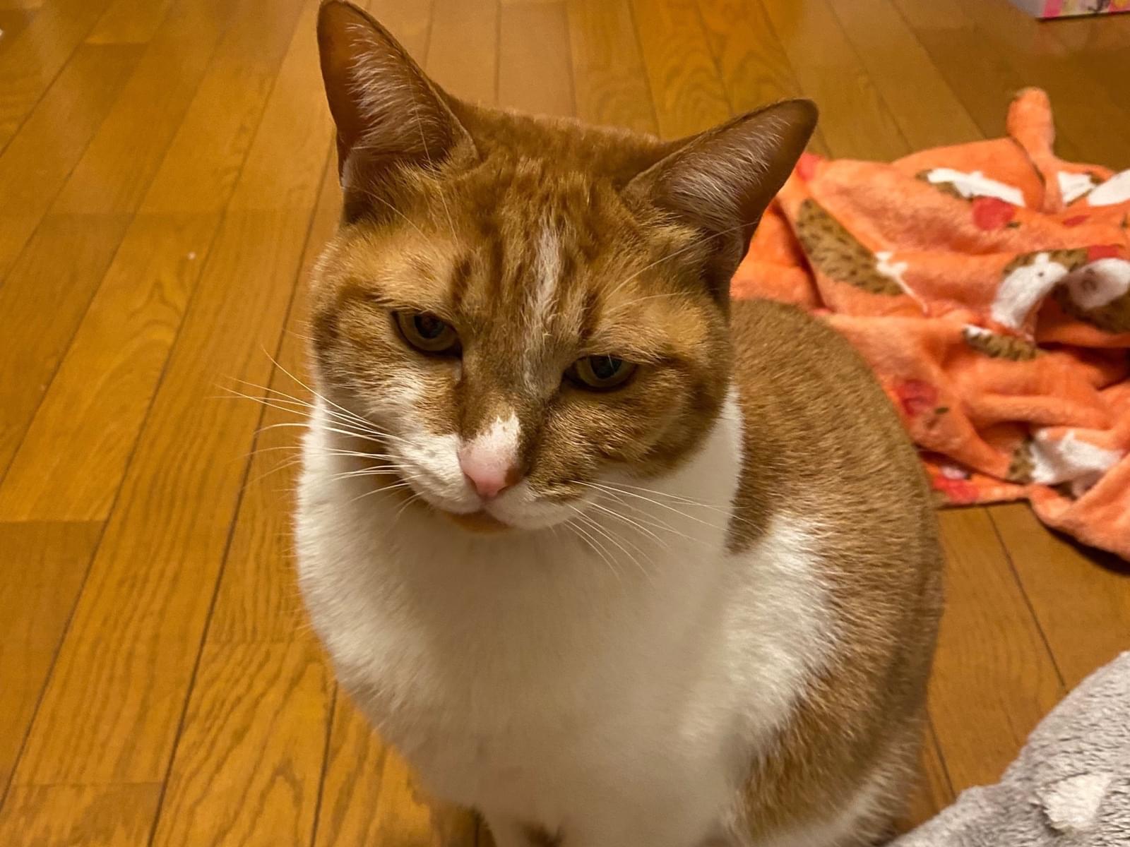 そらちゃん そらちゃん