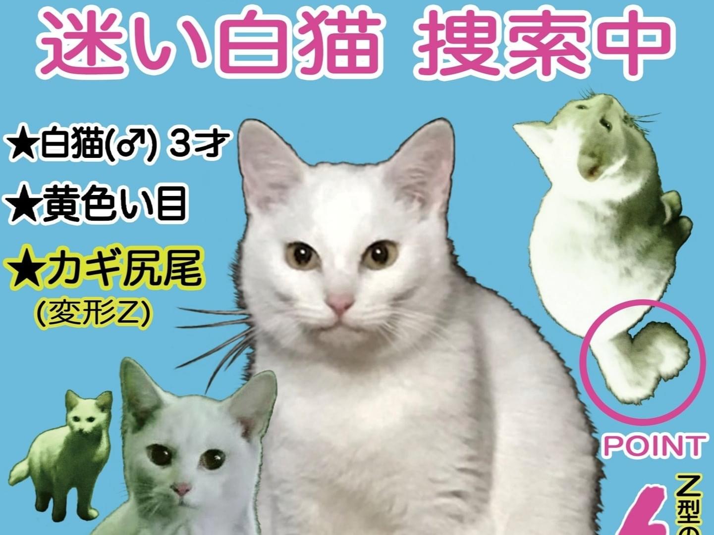 チビちゃん チビちゃん