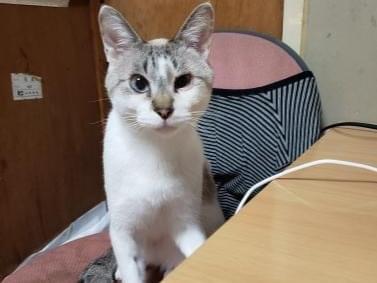 ひなたちゃん ひなたちゃん