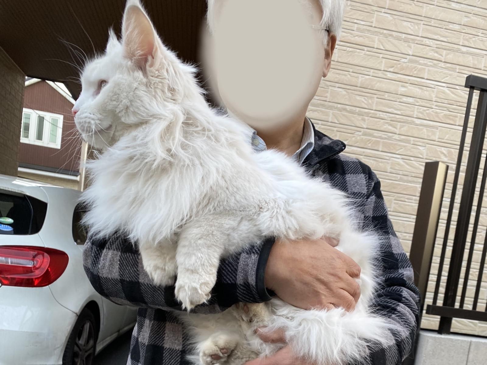 エルサちゃん エルサちゃん