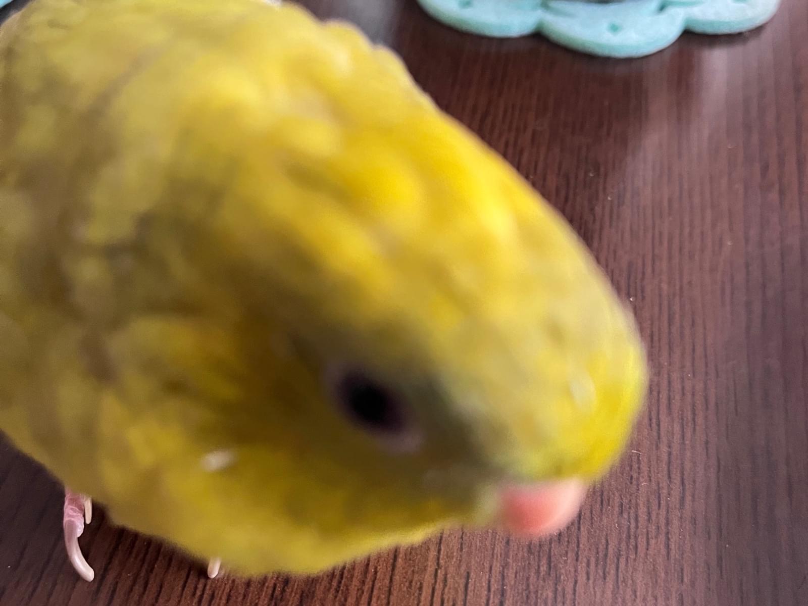 まっちゃくんちゃん まっちゃくんちゃん